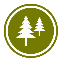 Forestry_Icon Forestry icon